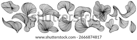 Set of vector abstract lines, wavy black smooth dynamic connections isolated on white background in luxury, wave, ocean, mountain, flower concept.