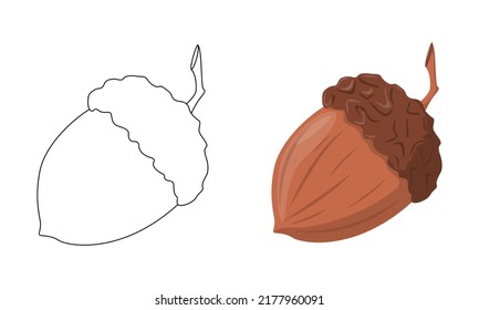 Set of vector Acorn isolated on white background in line art flat color cartoon style.