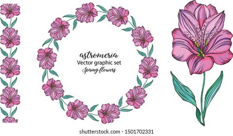 set of vector alstroemeria flowers