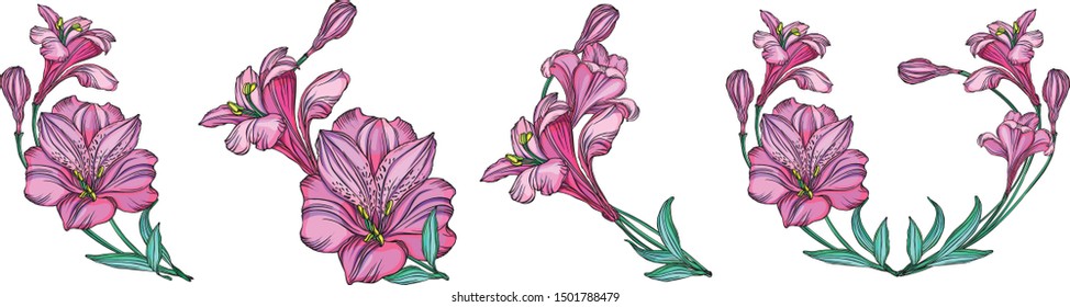 set of vector alstroemeria flowers