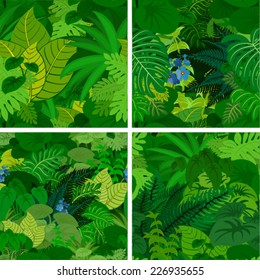 set of vector amazon jungle seamless pattern