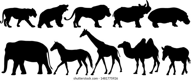 Set of vector animal silhouettes on white background