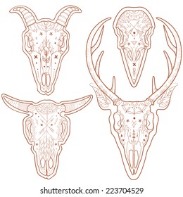 Set of vector animal skulls Mexican. Animal skulls. Vector set