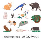 Set of vector animals isolated. Sign for zoo, zoology symbol. Rabbit and parrot bird, raccoon and hamster, tarantula spider and fish shoal, viper snake, guinea pig, lizard, chinchilla, rat, hedgehog