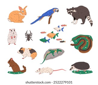 Set of vector animals isolated. Sign for zoo, zoology symbol. Rabbit and parrot bird, raccoon and hamster, tarantula spider and fish shoal, viper snake, guinea pig, lizard, chinchilla, rat, hedgehog