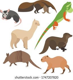 Set of vector animals. Llama, anteater, lizard, iguana, Alpaca, Armadillo, capybara.