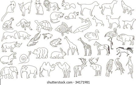 Set of vector animals, rough outlines