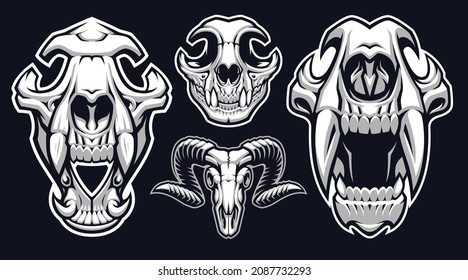 A set of Vector Animals Skulls, these designs can be used as sports mascots, logos for t-shirt prints.