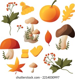 Set of vector autumn fall elements