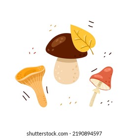 Set of vector autumn illustrations in cartoon style isolated on white background. Collection harvest of fresh wild forest mushrooms with leaf.