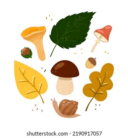 Satz von Vektorgrafiken im Herbstbild im Cartoon-Stil einzeln auf weißem Hintergrund. Sammlung von frisch geernteten Waldpilzen mit Blättern, Haselnüssen und Eicheln