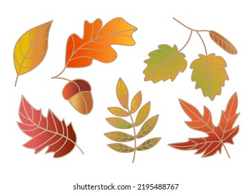 set of vector autumn leaves with gradient in illustrator