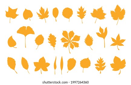 Set of vector autumn leaves, herbal element. Big collection of fall simple orange leaves. Silhouettes of autumn botanical vector flat plant illustration. Can be used as isolated sign, symbol and icon.