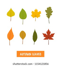 Set of vector autumn leaves on white background in simple flat style