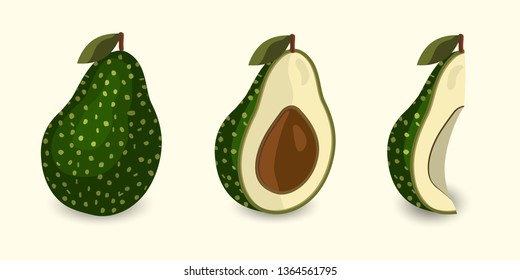 Set of vector avocado slices. Cartoon style isolated icons on white. 