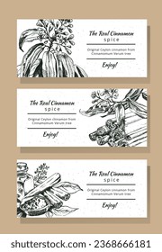 Set of vector background. Hand-drawn template for greeting or business card, header or celebration banner. Botanical illustration of Cinnamon tree branches with leaves and flowers and cinnamon sticks