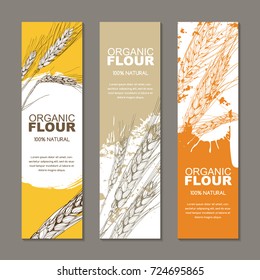 Set of vector backgrounds for label, package. Sketch hand drawn illustration of wheat ears. Concept for organic flour, harvest and agriculture, grain, cereal products, bakery, healthy food.