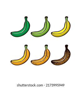Set of vector bananas, different colors. Ripe stages of bananas from unripe to overripe. Fruit for every taste