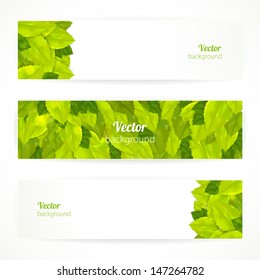 Set of vector banners with beautiful leaves. 