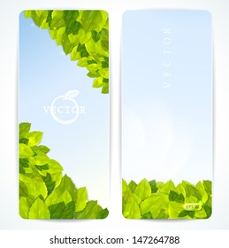 Set of vector banners with beautiful leaves. 