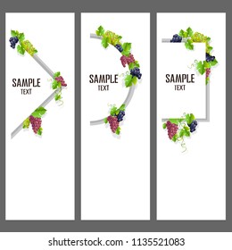 Set of vector banners with bunches of grapes. 