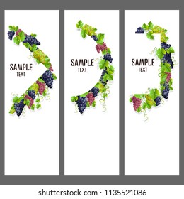 Set of vector banners with bunches of grapes. 