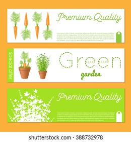 Set of vector banners with carrots.Gift banner sand cards with fresh greens and carrot. Stock vector illustration.For garden market