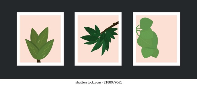 set of Vector Banners with exotic leaves. Invitation template with Noble green branches of plants. Covers made of Tropical Leaves. Fashion Background Illustration