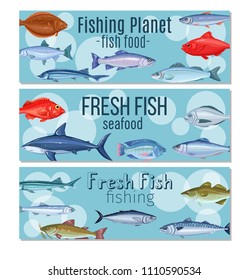 Set vector banners fish. Seafood design with salmon, anchovy, codfish, sea bass, ocean perch and sardine. Icon mackerel, herring, dorado, tuna, halibut, tilapia and trout.