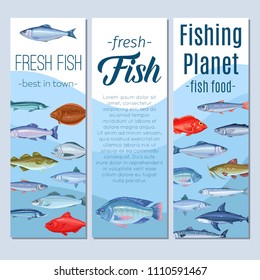 Set Vector Banners Fish Seafood Design Stock Vector (Royalty Free ...