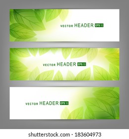 Set of vector banners with fresh green leaves.  Spring or summer nature background