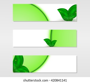 Set of vector banners with fresh green leaves with dew drops and green lines, vector illustration