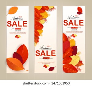 Set vector banners with red, orange, brown and yellow autumn leaves.