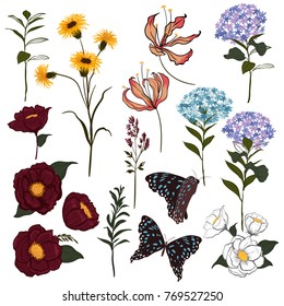 Set of  vector  beautiful artistic bright botanic garden with blooming flowers and butterflies. Colorful original stylish floral background print, bright rainbow colors on white.
