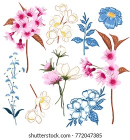 Set of vector beautiful artistic bright florals blooming,sakura wold flowers. Colorful original stylish floral background print, bright colors on white. Set of vector beautiful artistic bright florals blooming,sakura wold flowers. Colorful original stylish floral background print, bright colors on white.
