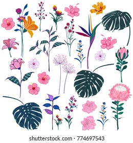Set of  vector  beautiful artistic bright tropical with exotic forest. Colorful original stylish floral background print, bright rainbow colors on white.