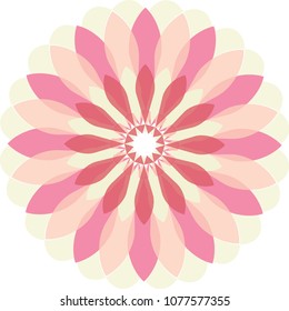 Set of Vector beautiful colorful Flowers vector 