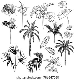 Set of  vector  beautiful hand drawing artistic tropical and leves with exotic forest. Outline original stylish floral background print