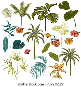 Set of  vector  beautiful hand drawing artistic tropical and leaves tress with exotic forest. Original stylish floral background print