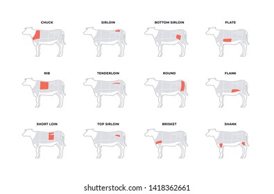 Set of vector beef steak diagram banner. American meat cutting. Cow silhouette with red zone markup and text isolated on white background. Design for cafe web menu, decor, infographic, butcher diagram