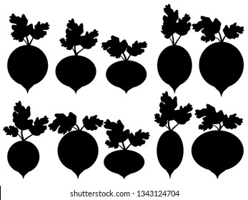 Set of vector beet silhouette with leaves isolated on white. Variants of beets silhouette with leaves