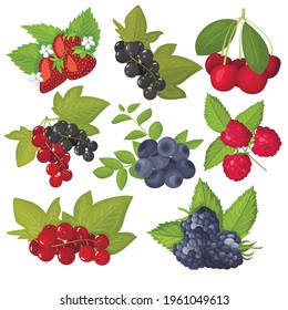 The set of vector berries is isolated. Blueberries, currants, cherries, strawberries, blackberries, raspberries. Cartoon flat