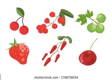 Set of vector berries isolated. cherry, cranberry, Gooseberry, strawberry, barberry. Flat style.