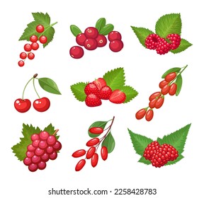 Set of vector berries isolated on white background