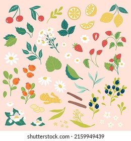 Set of vector berries leaves and fruits isolated on pink background. Cartoon flat Hand drawn collection
