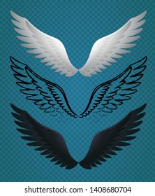 Set of Vector Bird Wings. Minimalist Illustration of White, Black and Sketch Wings. 