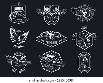 Set of vector birds. Eagles and hawks illustrations. 