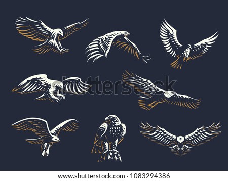 Set of vector birds. Eagles and hawks.