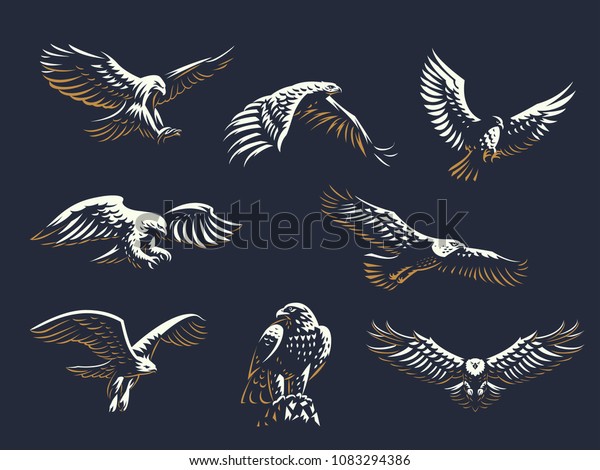 Set of vector birds.\
Eagles and hawks.