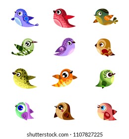 set of vector birds, funny bird on white